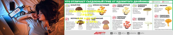 MDMA Premium VHQ Белокуриха