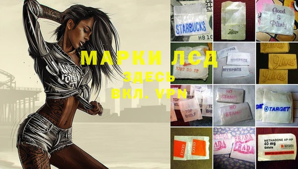 мяу мяу мука Беломорск
