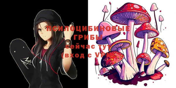 MDMA Premium VHQ Белокуриха