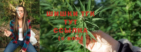 мяу мяу мука Беломорск