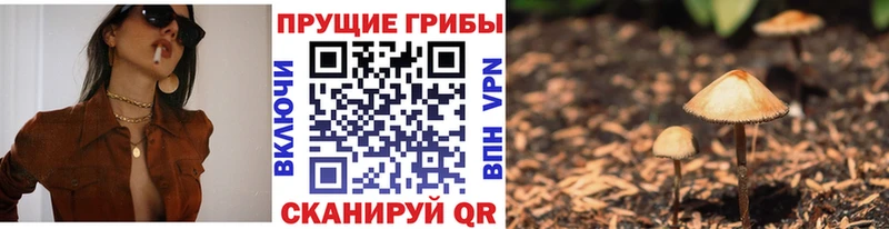 Галлюциногенные грибы ЛСД  купить закладку  Волчанск 